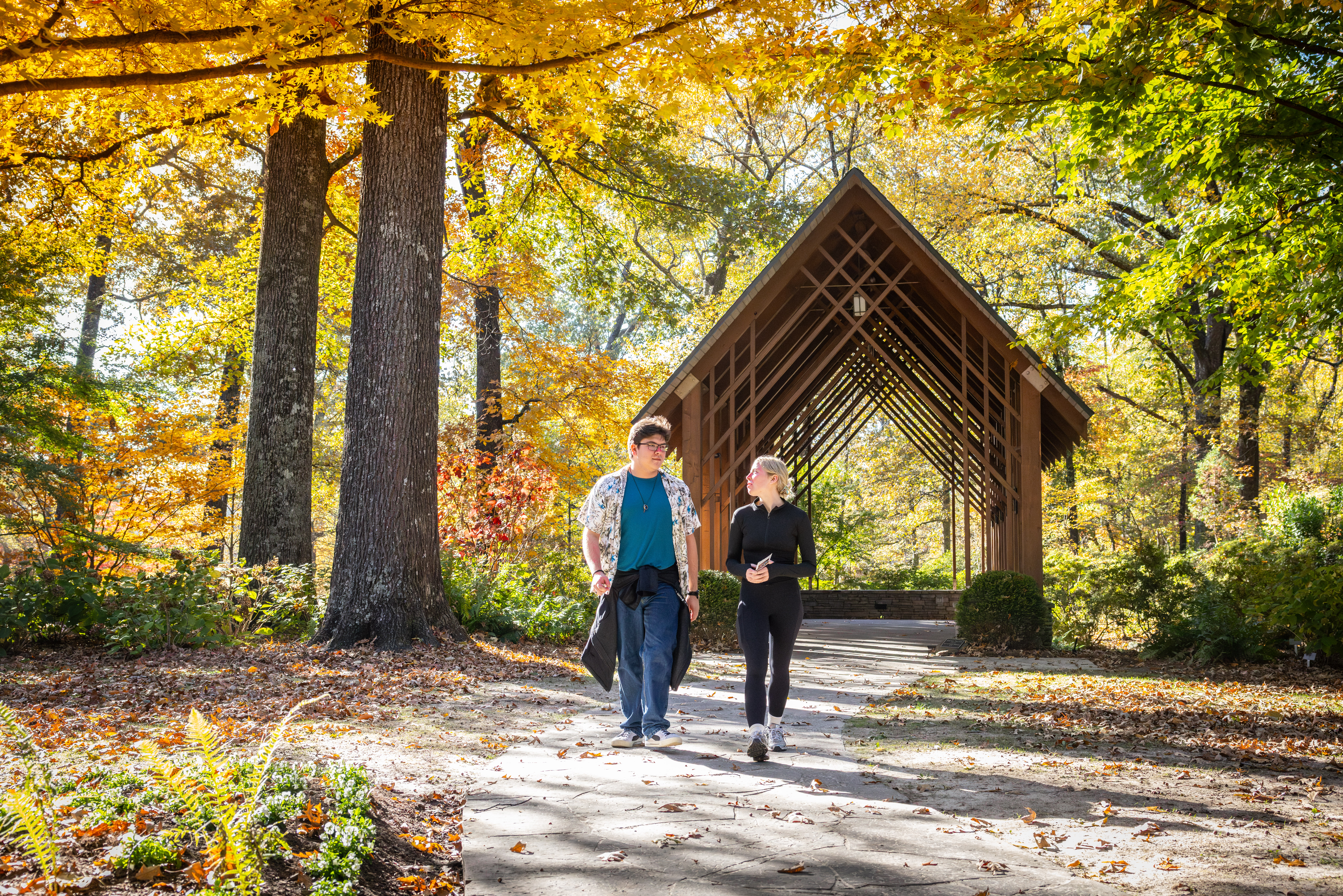couple waling through fall foliage