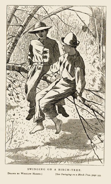 SWINGING ON A BIRCH TREE, from Our Young Folks, June 1867 SWINGING ON A BIRCH TREE, from Our Young Folks, June 1867