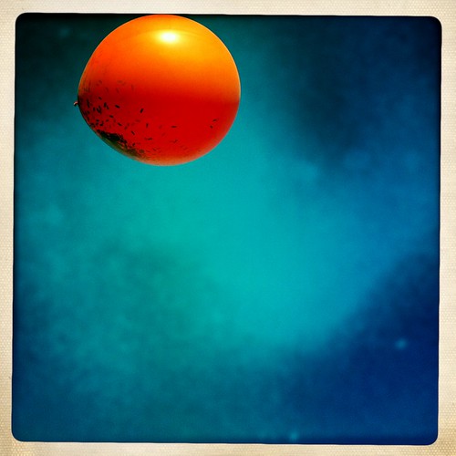 Flaming Lips, Handy Park, Memphis, Tenn. Flaming Lips, Handy Park, Memphis, Tenn.