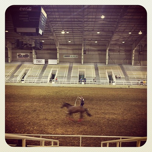Horse on a leash, Memphis, Tenn. Horse on a leash, Memphis, Tenn.