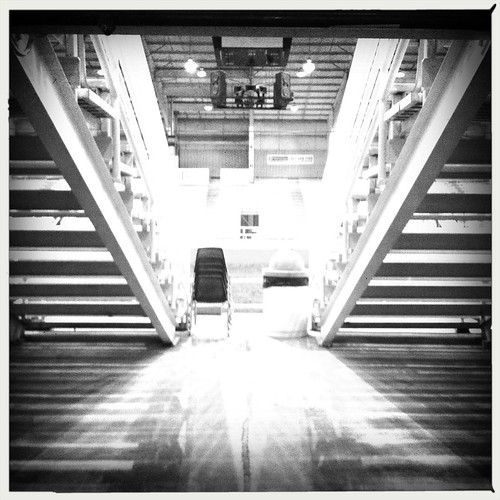 Lines, Showplace Arena, Memphis, Tenn. Lines, Showplace Arena, Memphis, Tenn.