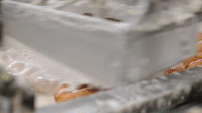 Memphis_Can_t_Stop_the_Feeling_GIBSON_S_DONUTS