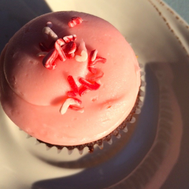 Santa Baby Muddys Cupcake