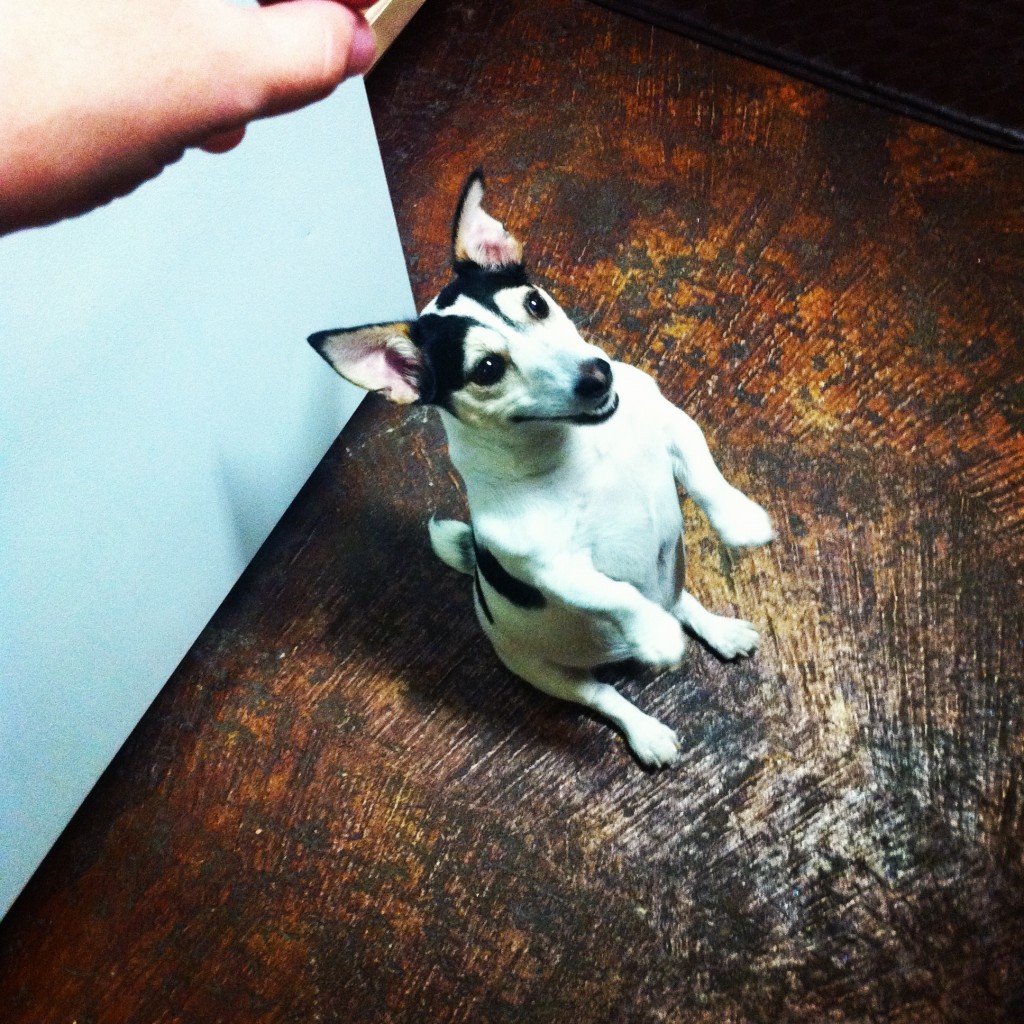 Sitting funny, Memphis, Tenn. 