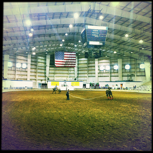 Rodeo, Showplace Arena, Memphis, Tenn. Rodeo, Showplace Arena, Memphis, Tenn.