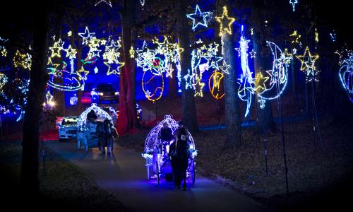 Horse-drawn carriages riding through annual holiday lights attraction Starry Nights at Shelby Farms Park.
