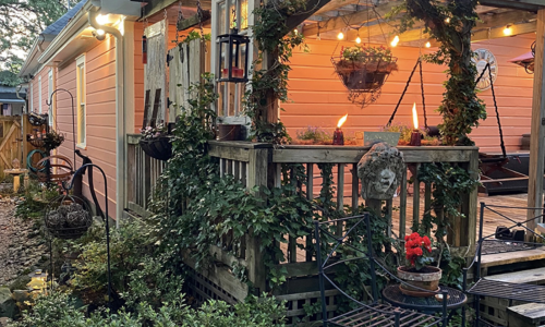 picture of a porch with vines growing up the side and lush, green plants in the garden in front