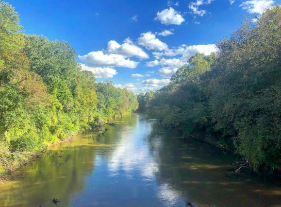 Green trees lining Wolf River with blue skies and fluffy clouds
