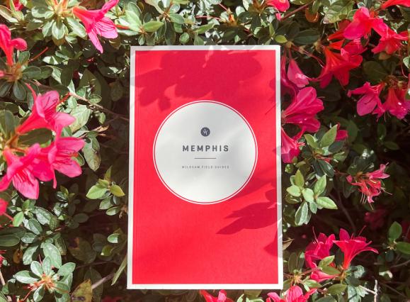 wildsam memphis book in front of azaleas