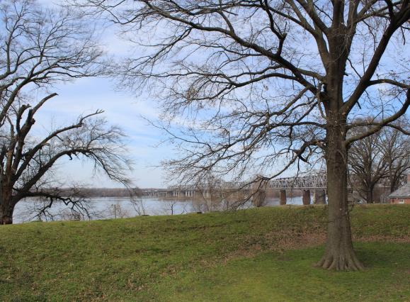 top of chickasaw mound 