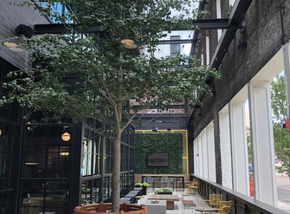 courtyard with brown tables, a tree, and blue sky visible through glass ceiling
