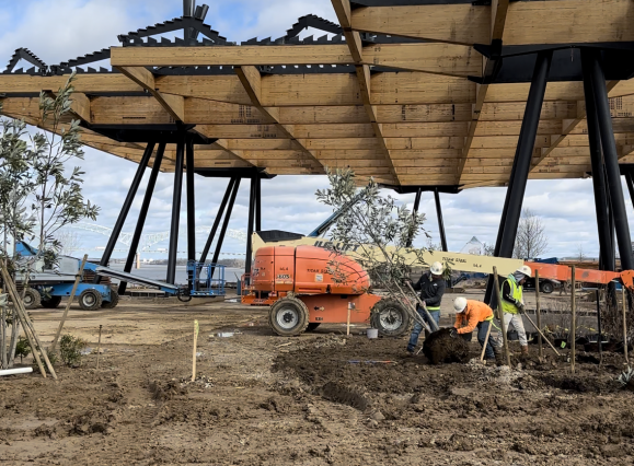 sunset canopy almost done at Tom Lee Park