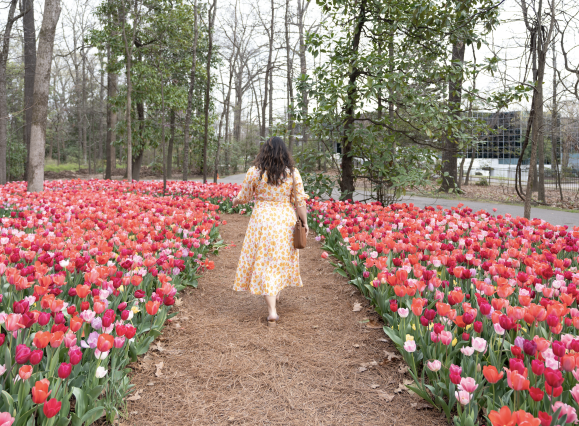 woman walks through tulips