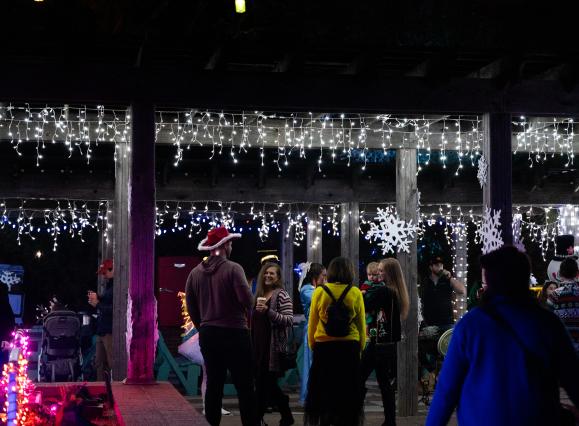 people walk through holiday light display