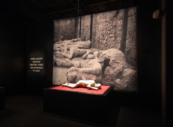 Pompeii the exhibition body cast