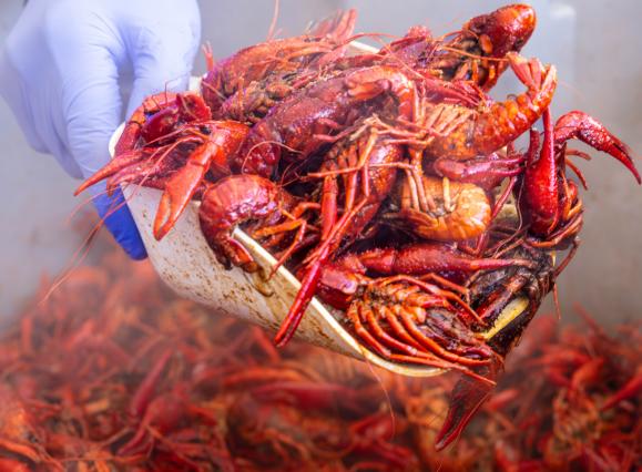 a big scoop of crawfish