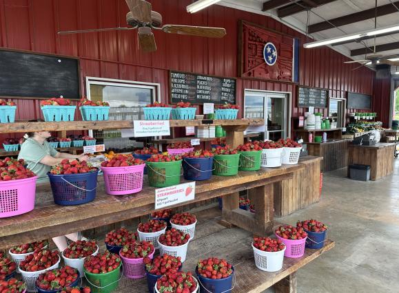 buckets of strawberries on display for sell at Jones Orchard market