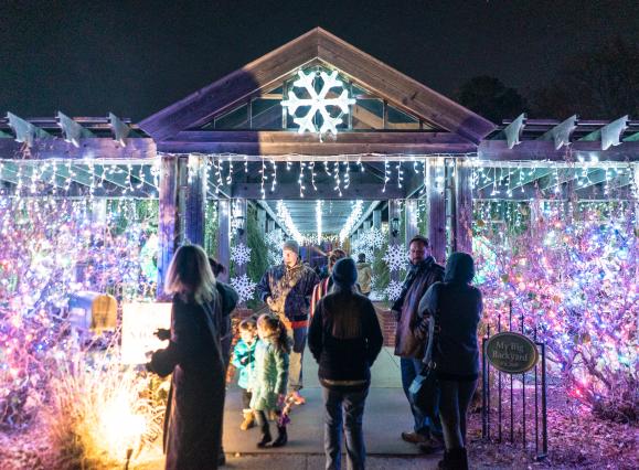 Guests enjoying holiday light displays at Holiday Wonders at Memphis Botanic Garden.
