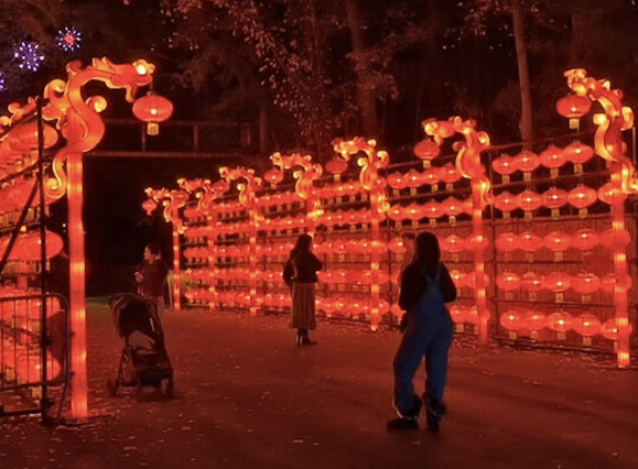walkway line with layers of red lit up lanterns at Memphis Zoo Lantern Festival