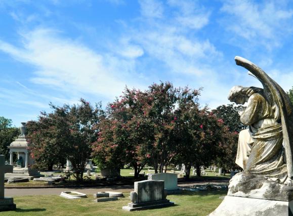 Inside-Elmwood-Cemetery_s.jpg