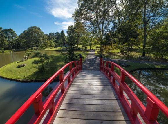 Memphis_Botanic_Garden_S97VM13kPz8Ml7ABxtOGvxq_rgb_72.jpg