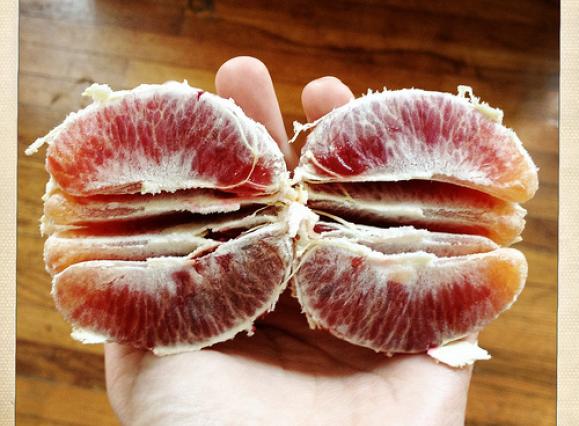 blood-orange.jpg