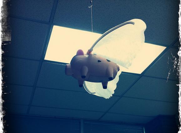 flyingpig.jpg