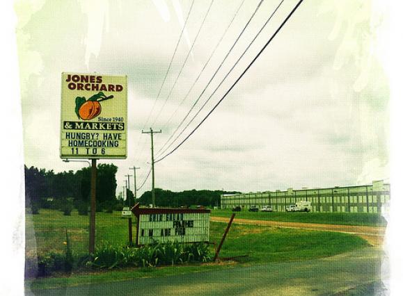 jonesorchard.jpg