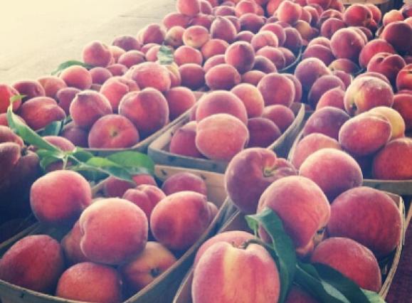 memfarmersmkt.jpg