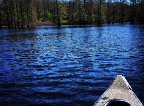 shelby-forest-canoe-blue.jpg