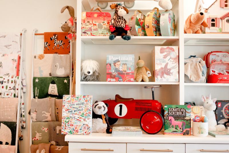 kids toys and books on shelves