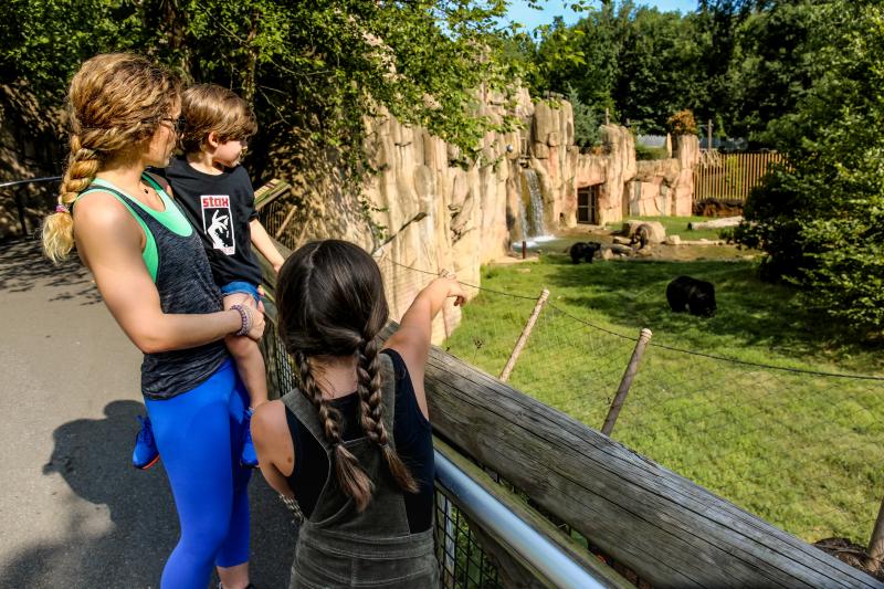 Family in the Teton Trek at the Memphis Zoo