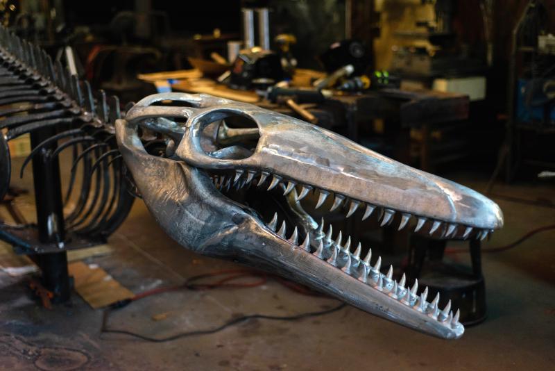 metal sculpture of a mosasaur skeleton, close up on the skull with long, alligator-like snout