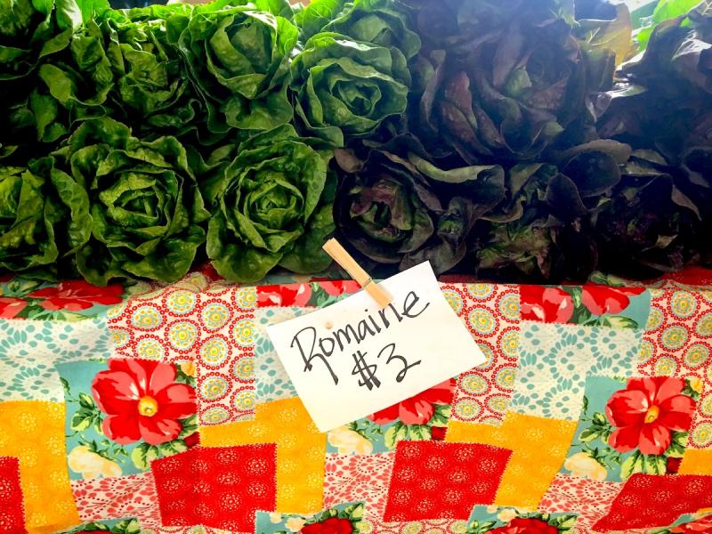 stacks of romaine lettuce on a table covered in a brightly colored patchwork tablecloth, a handwritten sign says "Romaine $3"