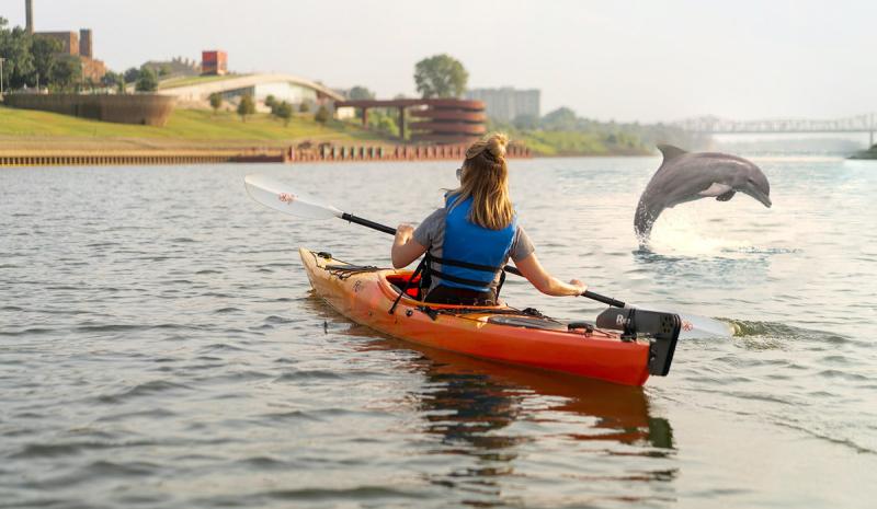 April Fools Photoshop Image Kayak Dolphin