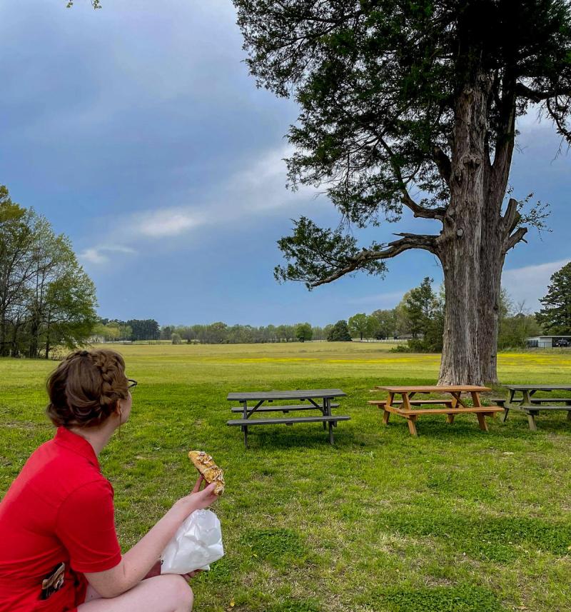 girl in red shirt having picnic in a park with a tree and two benches