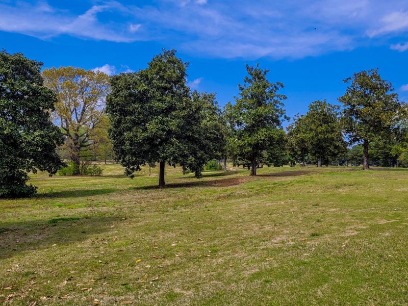 trees and grassy knoll at Edmund Orgill Golf Course