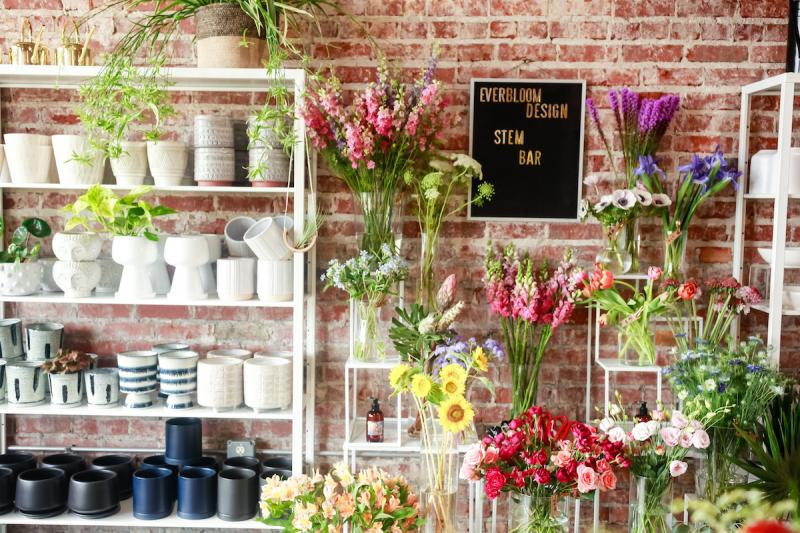 plant shop with display of green leafy plants and a shelf of plant containers