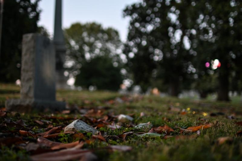 Fall leaves on grass with monuments in background at cemetery