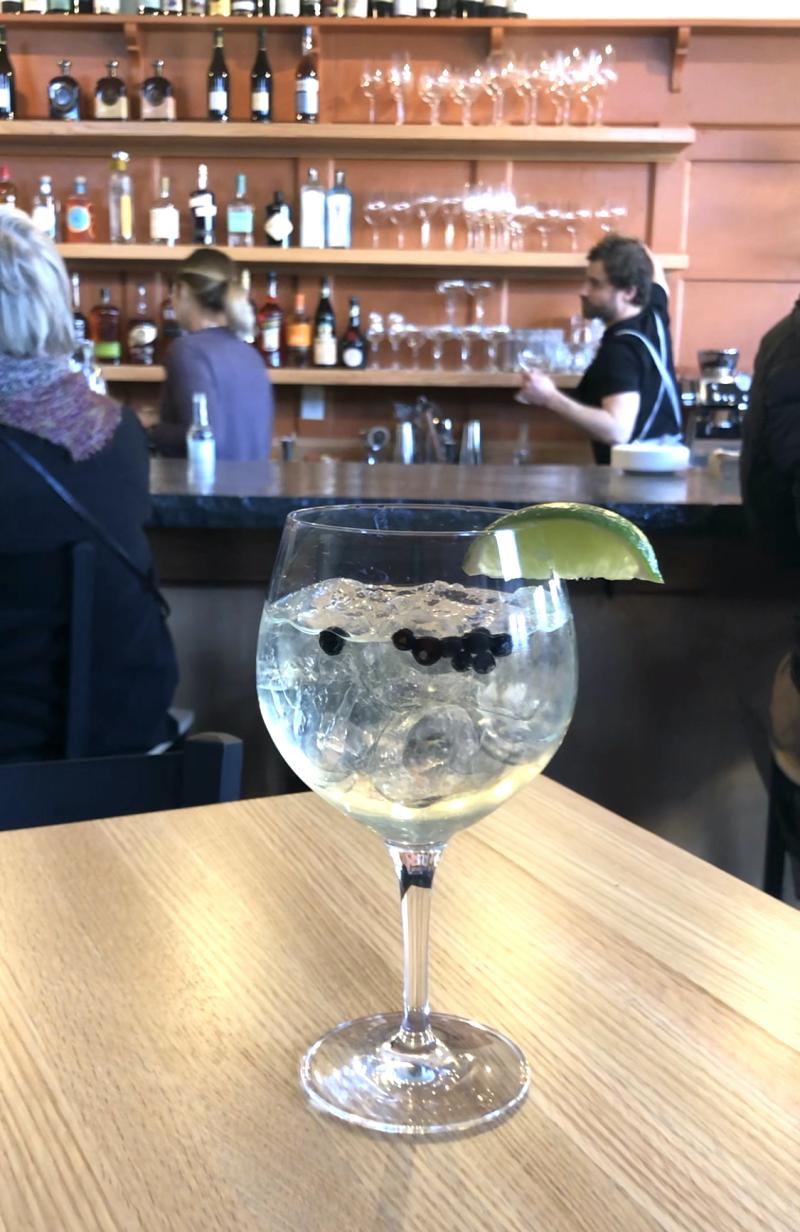 gin and tonic drink
