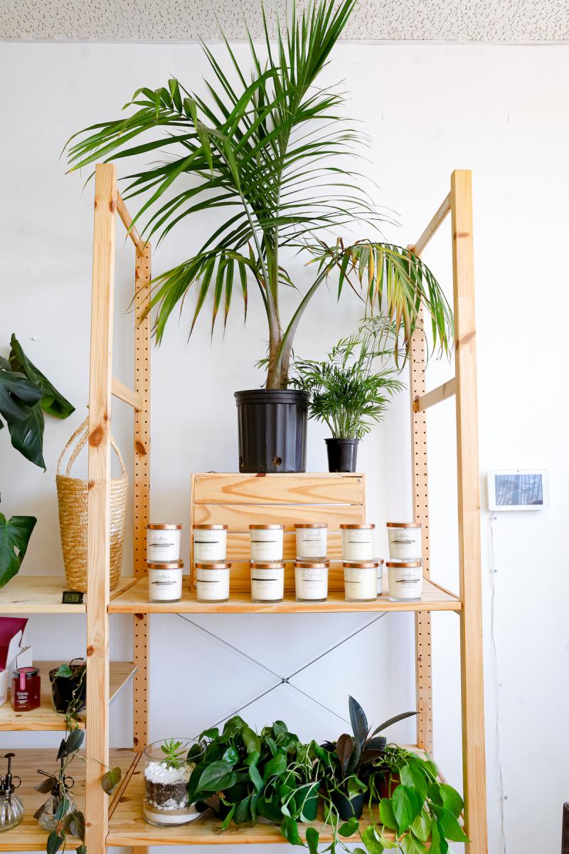 wooden shelf with a fern on top and jars of body products