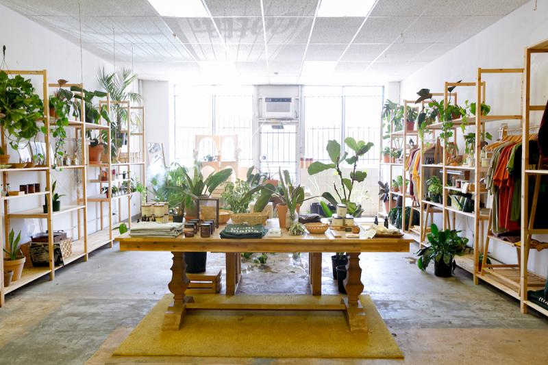 plant shop with display of green leafy plants and body products