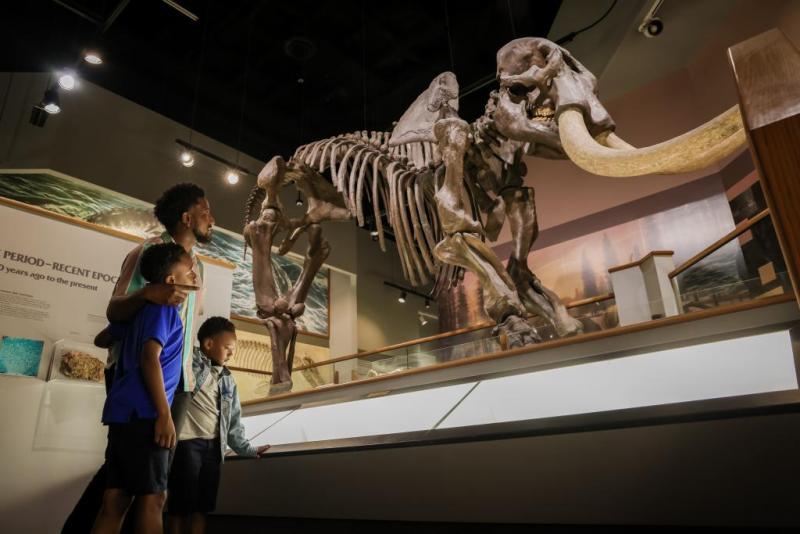Family viewing a life-sized mastodon display at the Memphis Museum of Science and History. | Alex Shansky