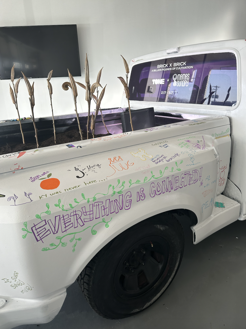 photo of a white truck with trees growing out the bed of it.