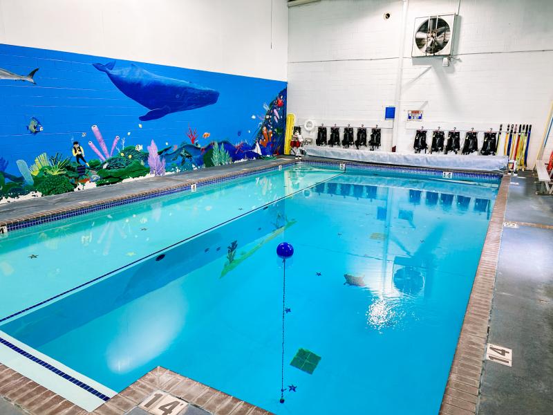 indoor diving pool for training with deep sea mural painted on wall with whale