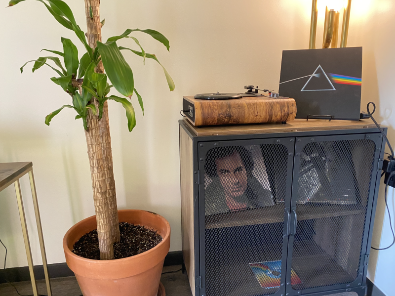 plant sitting next to record player on top of record stand with records