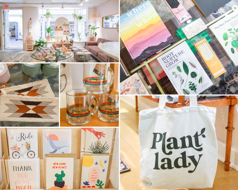 Penn home and design co collage