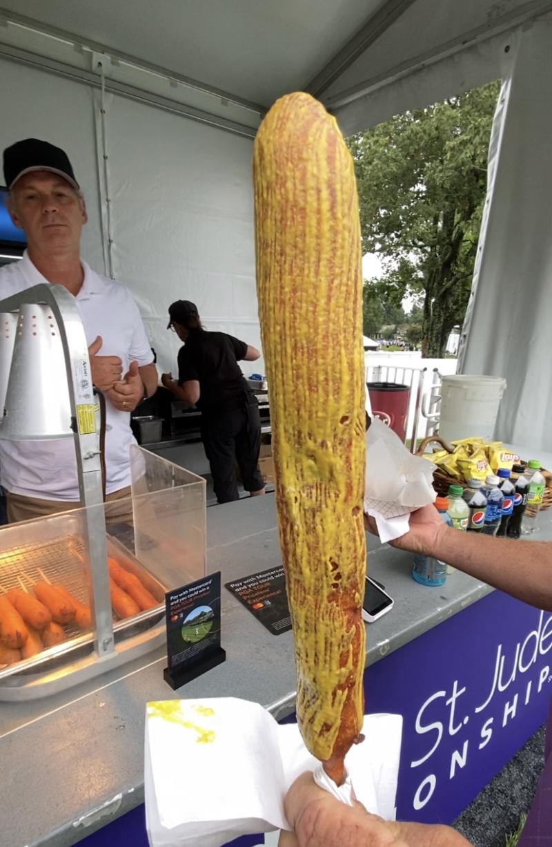 pronto pup slathered in mustard