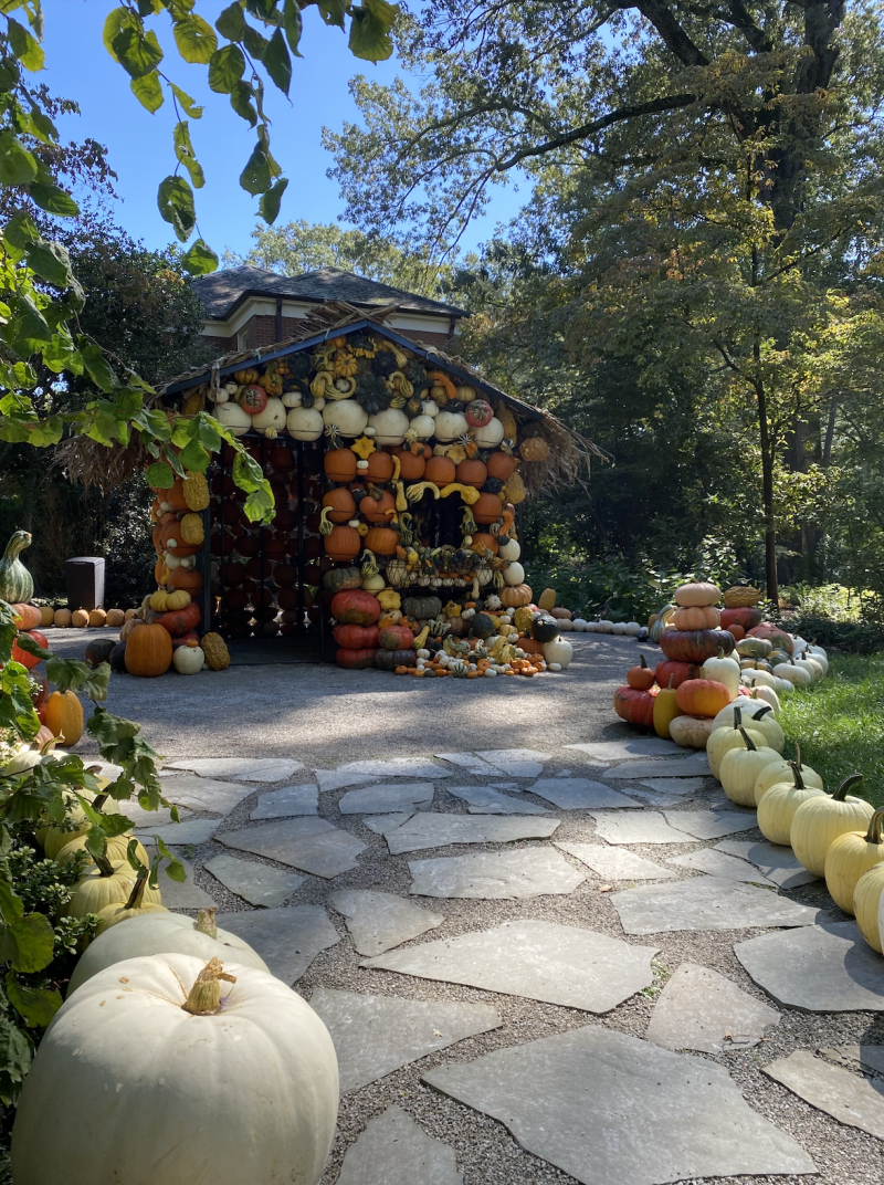 exterior shot of pumpkin house