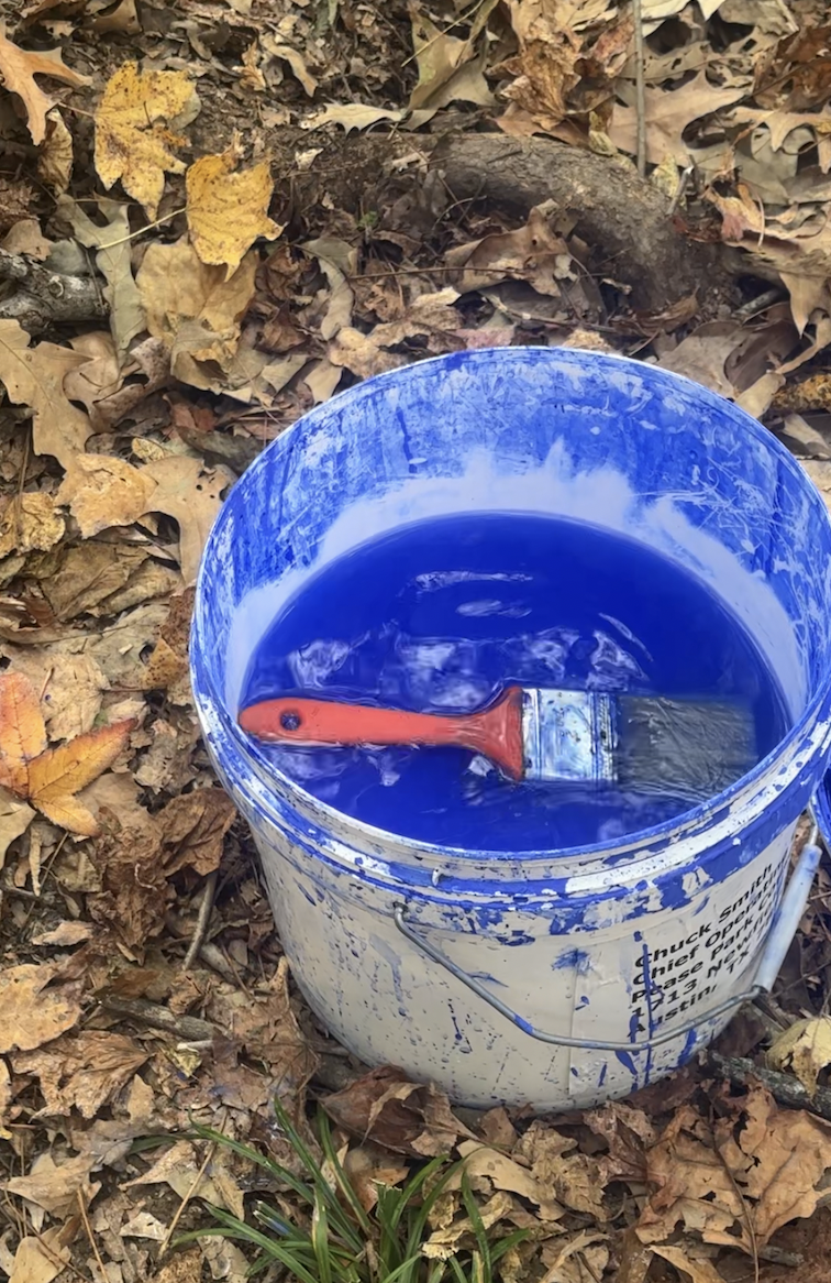 the blue trees: shelby canopy pigment